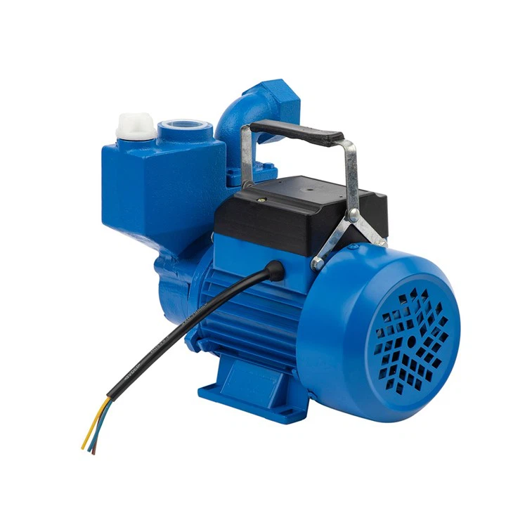 Izdb-45 0.75HP Domestic Self-Priming Clean Water Pump Izdb-45 0.75HP Domestic Self-Priming Clean Water Pump